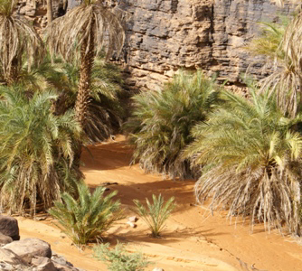 Oasis de Terjit
